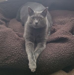 Misc clothing, home decor items